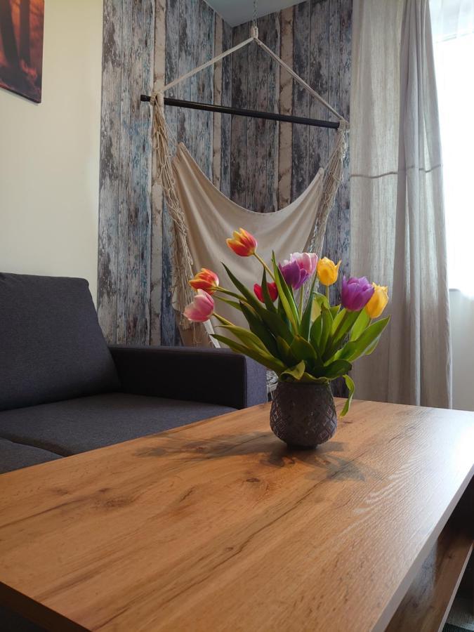 Apartament Lenka Karkonosze Διαμέρισμα Jelenia Góra Εξωτερικό φωτογραφία